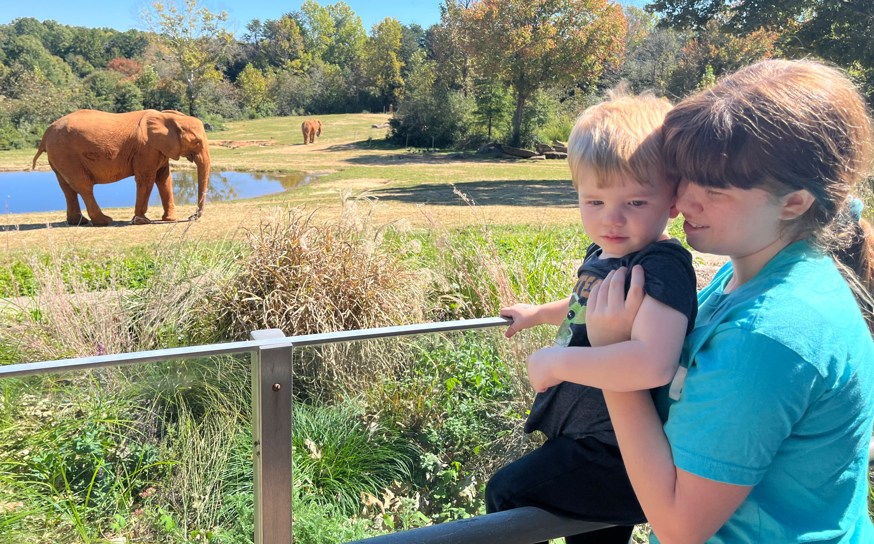 Sister with her baby brother at an elephant exhibit.
